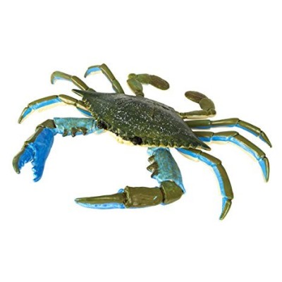 Crabe bleu