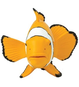 Poisson Clown