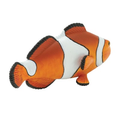 Poisson clown trois bandes