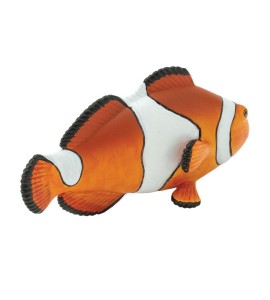 Poisson clown trois bandes