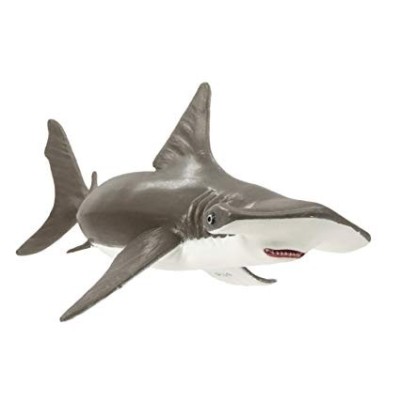 Requin marteau bébé