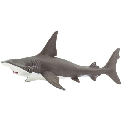 Requin marteau bébé