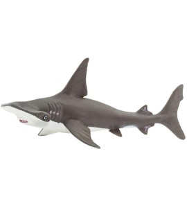 Requin marteau bébé