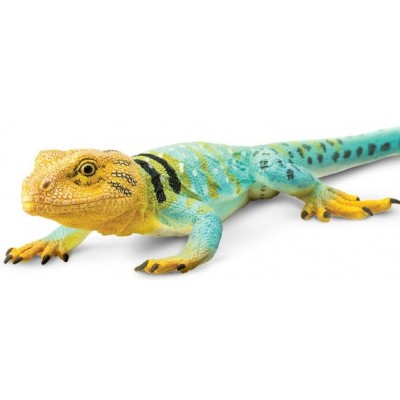 Lézard coloré