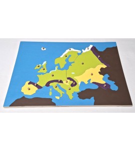 copy of Puzzle requin