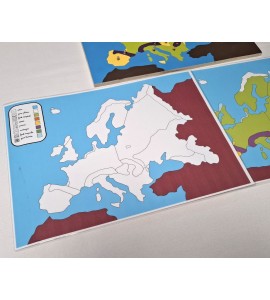 copy of Puzzle requin