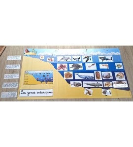 Bâche les zones océaniques