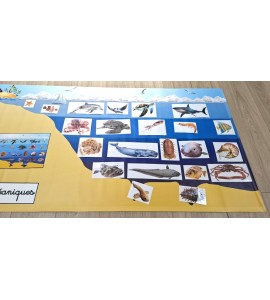 Bâche les zones océaniques