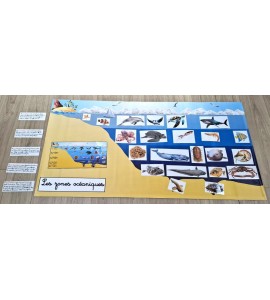 Bâche les zones océaniques