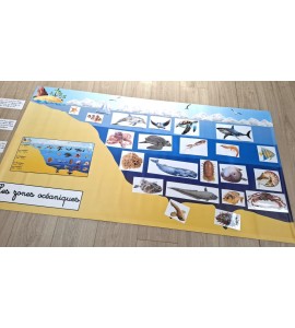 Bâche les zones océaniques