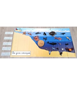 Bâche les zones océaniques