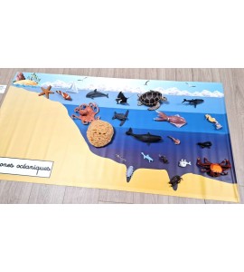 Bâche les zones océaniques
