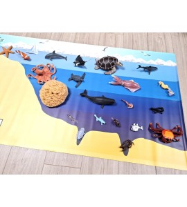 Bâche les zones océaniques