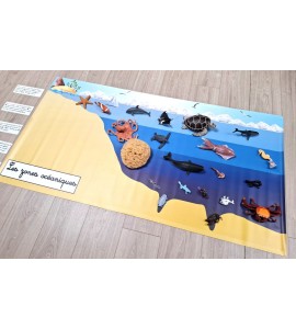 Bâche les zones océaniques