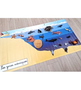 Bâche les zones océaniques
