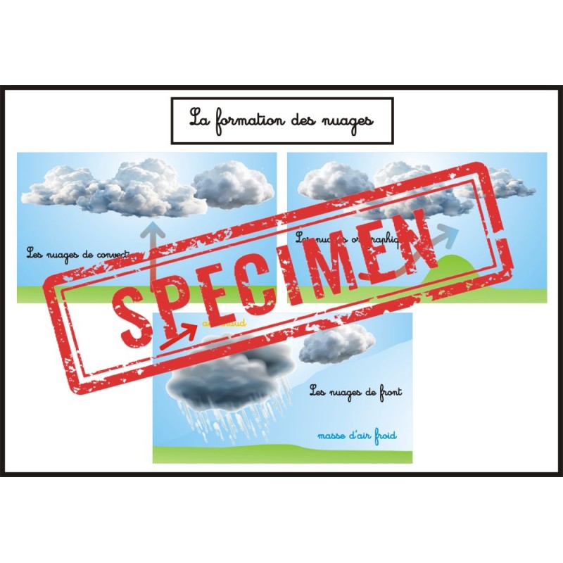 Affiche la formation des...