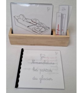 Nomenclature les parties du glacier