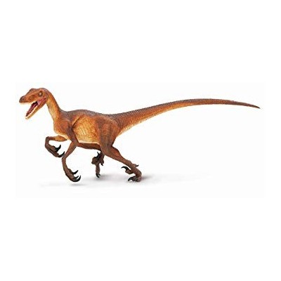 Vélociraptor