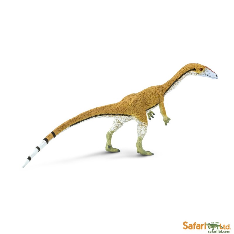 Coelophysis