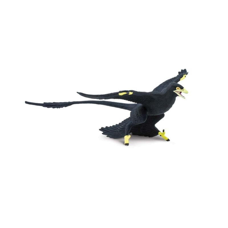 Microraptor