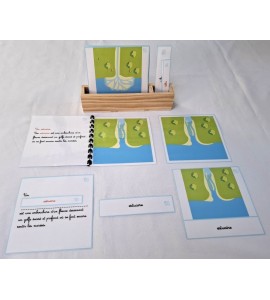 copy of Nomenclature du cycle de vie du serpent