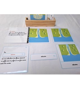 copy of Nomenclature du cycle de vie du serpent
