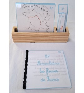 copy of Nomenclature du cycle de vie du serpent