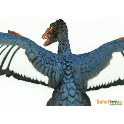 Archaeopteryx