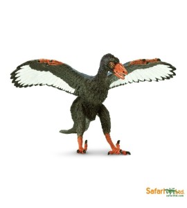 Archaeopteryx