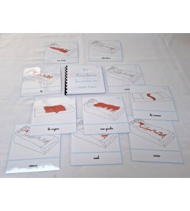 copy of Nomenclatures les fonctions vitales des vertébrés