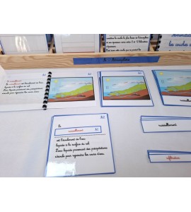 copy of Nomenclatures les fonctions vitales des vertébrés