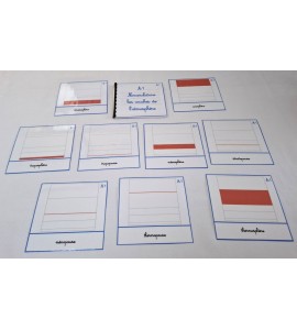 copy of Nomenclatures les fonctions vitales des vertébrés