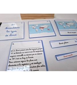copy of Nomenclature du cycle de vie du serpent