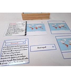 copy of Nomenclature du cycle de vie du serpent