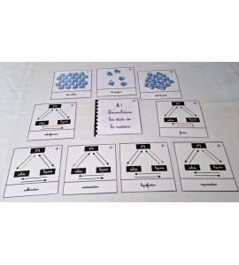 copy of Nomenclatures les fonctions vitales des vertébrés