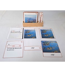 copy of Nomenclature du cycle de vie du serpent
