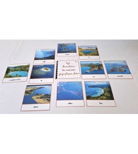 copy of Nomenclature du cycle de vie du serpent