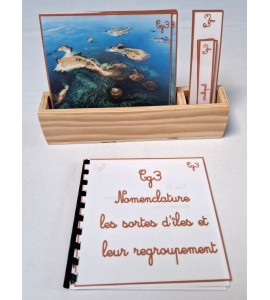 copy of Nomenclature du cycle de vie du serpent