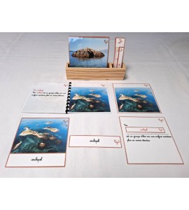 copy of Nomenclature du cycle de vie du serpent