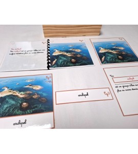 copy of Nomenclature du cycle de vie du serpent
