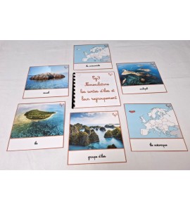 copy of Nomenclature du cycle de vie du serpent