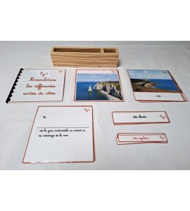 copy of Nomenclature du cycle de vie du serpent