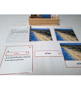 copy of Nomenclature du cycle de vie du serpent