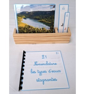 copy of Nomenclature du cycle de vie du serpent