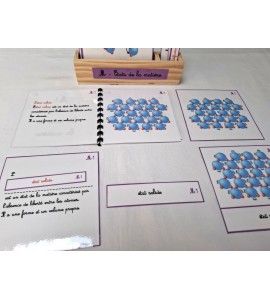 copy of Nomenclature du cycle de vie du serpent