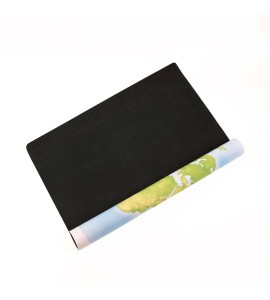 Tapis planisphère