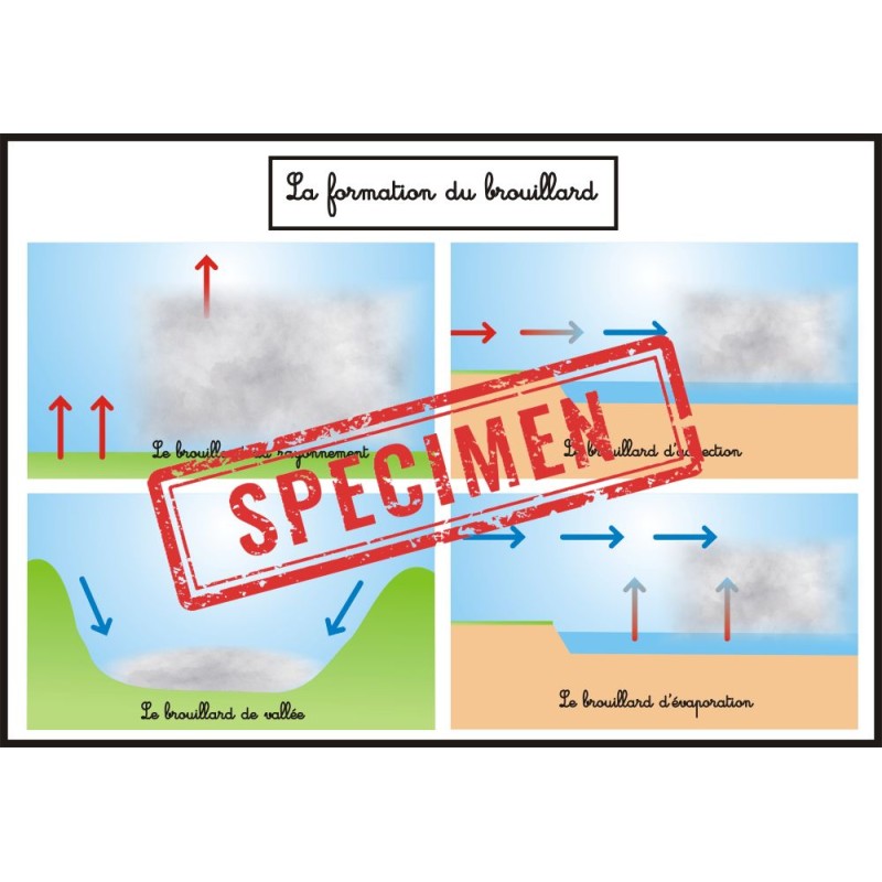 Affiche formation du...