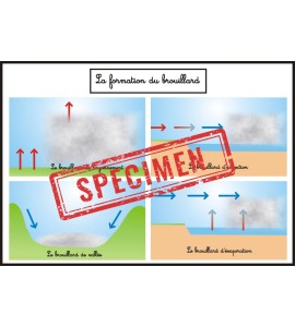Affiche formation du brouillard