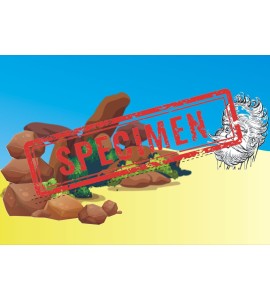 Affiche l'érosion par le vent