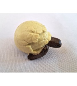 copy of Cycle de vie de la tortue - plateau + figurines